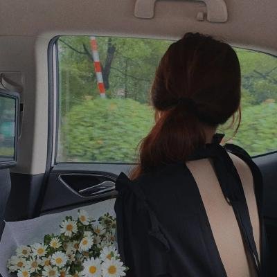 龙吟诏 在线观看